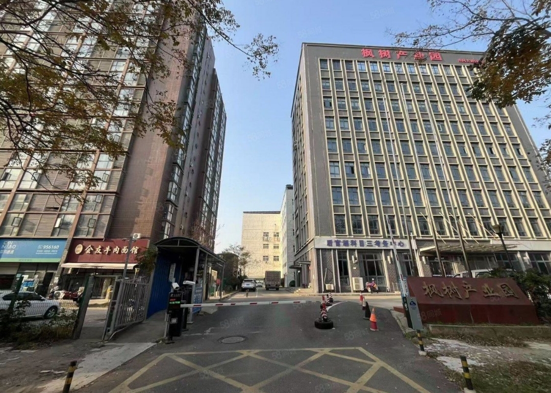 沌口开发区优惠厂房出租(海天汽配城附近)