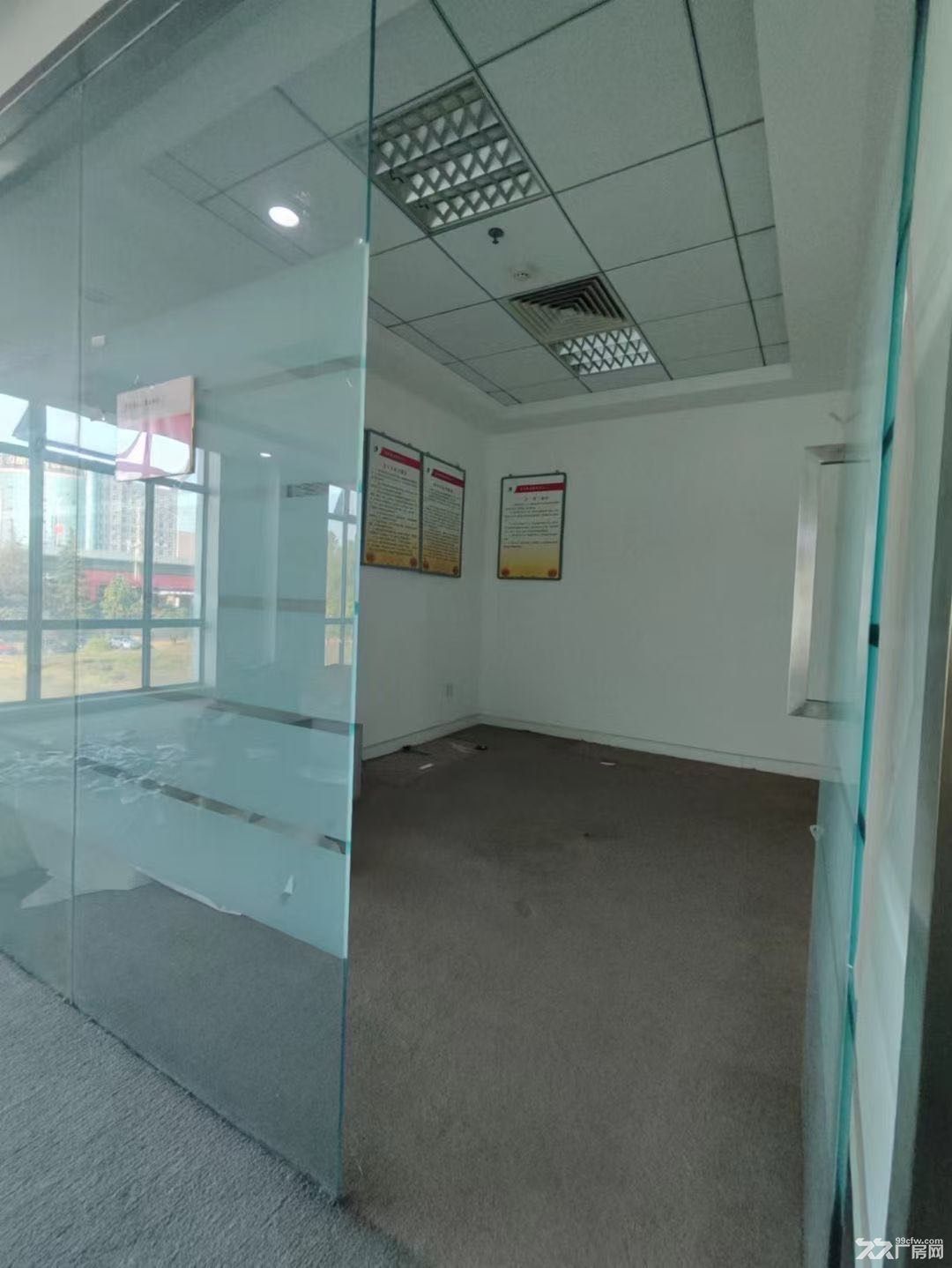 沌口地铁口开发商办公楼厂房出租出售